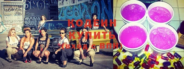 apvp Козельск