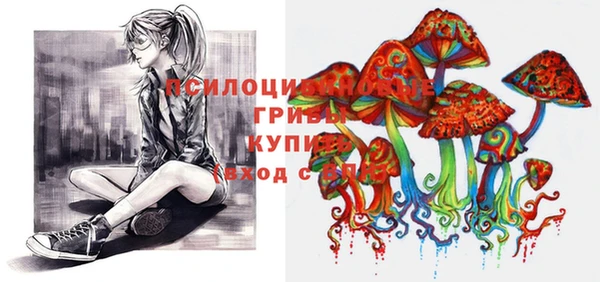 apvp Козельск