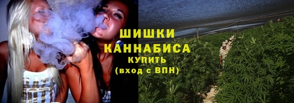 apvp Козельск