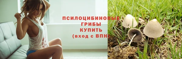 герыч Козловка