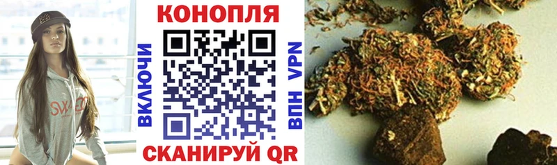 Купить закладки  Верея  Шишки марихуана планчик 